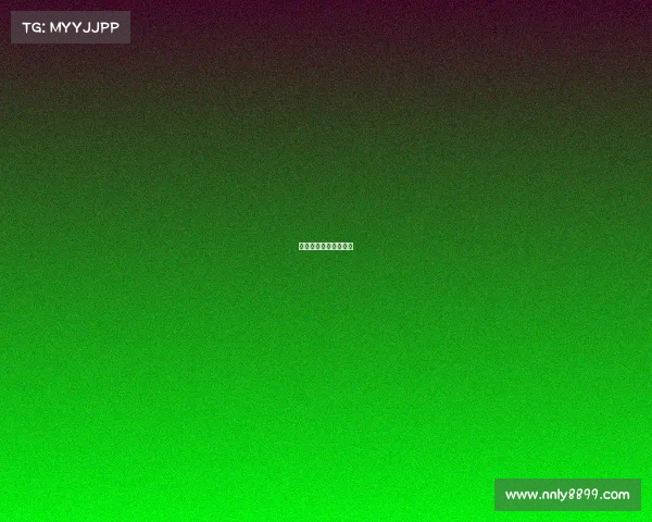 布尔萨纺织品有限公司